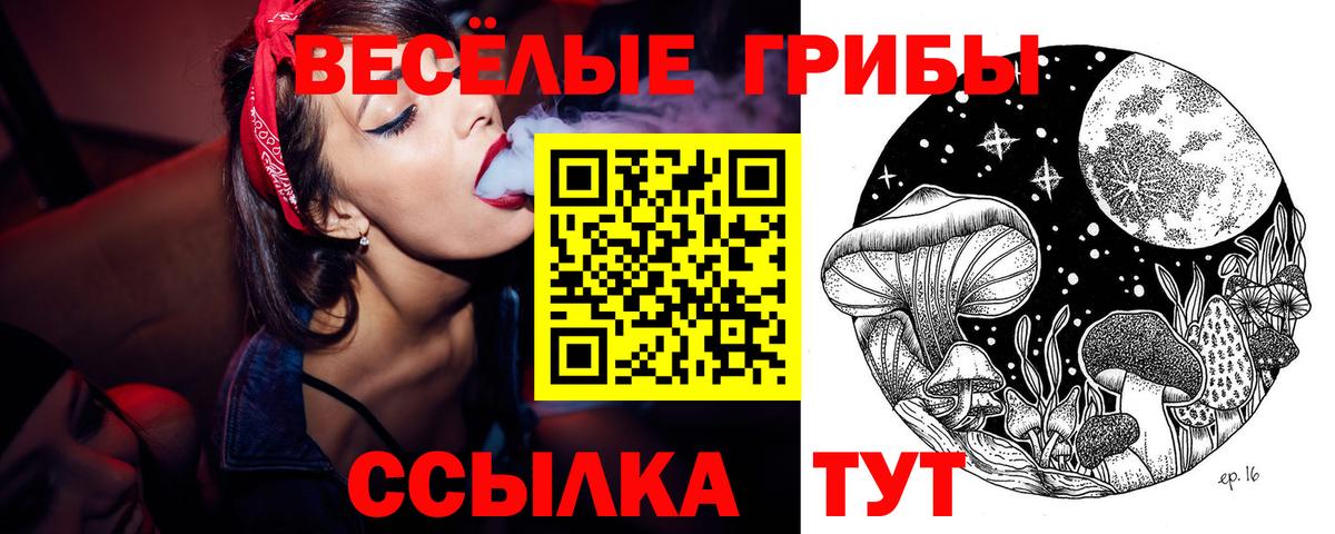 Псилоцибиновые грибы MAGIC MUSHROOMS Фролово
