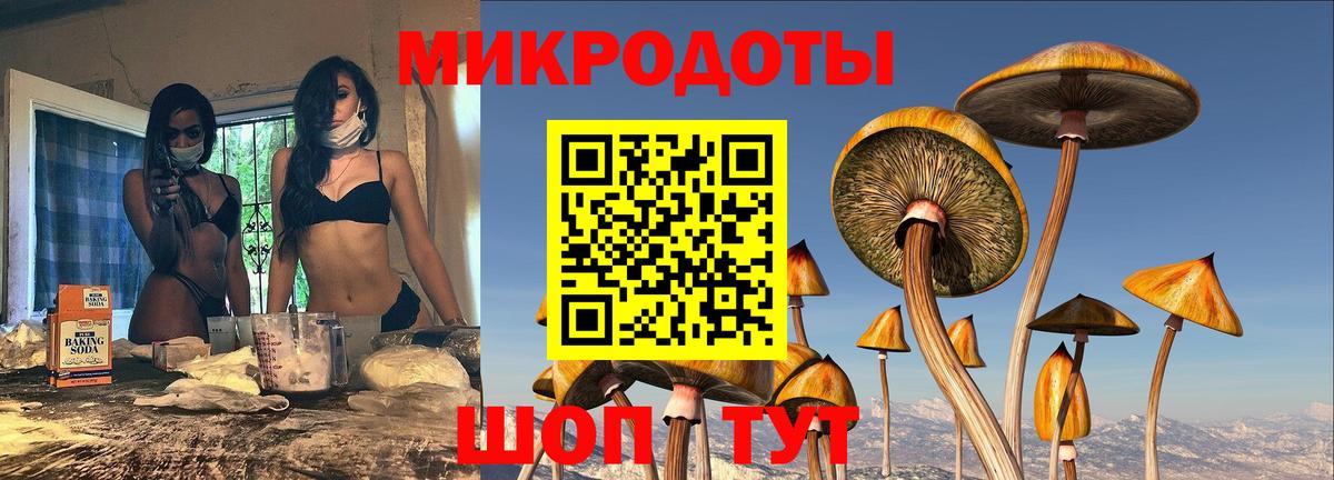 Галлюциногенные грибы Psilocybe  Вход с VPN  Фролово 